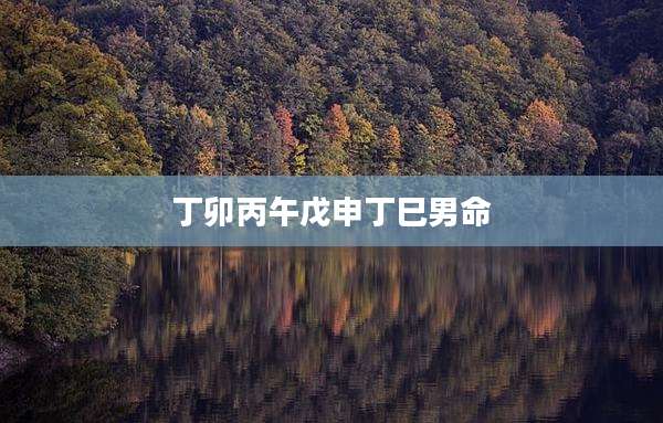 丁卯丙午戊申丁巳男命
