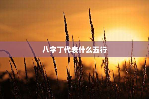 八字丁代表什么五行