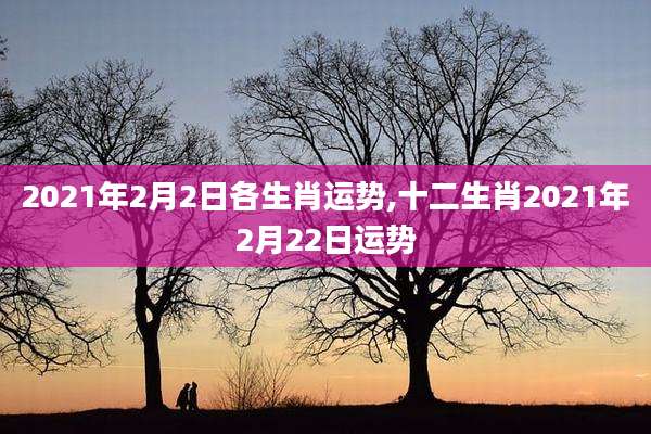 2021年2月2日各生肖运势,十二生肖2021年2月22日运势