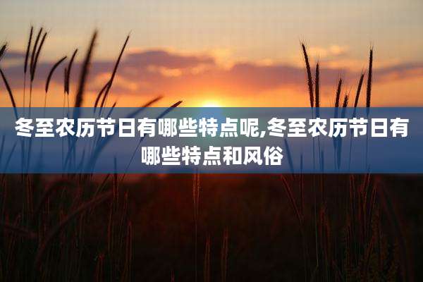 冬至农历节日有哪些特点呢,冬至农历节日有哪些特点和风俗
