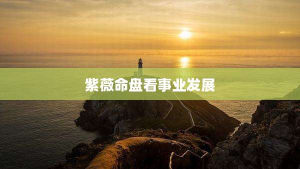紫薇命盘看事业发展
