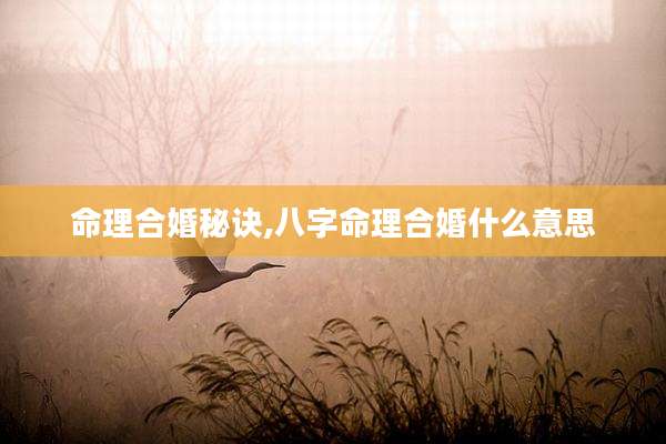 命理合婚秘诀,八字命理合婚什么意思