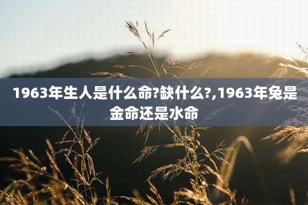 1963年生人是什么命?缺什么?,1963年兔是金命还是水命