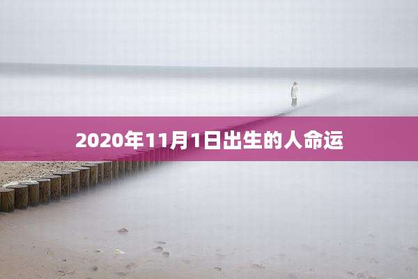 2020年11月1日出生的人命运