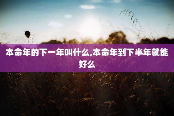 本命年的下一年叫什么,本命年到下半年就能好么