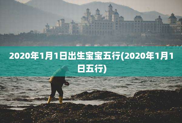 2020年1月1日出生宝宝五行(2020年1月1日五行)