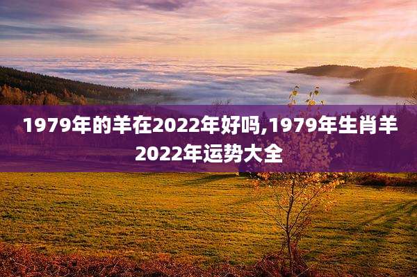 1979年的羊在2022年好吗,1979年生肖羊2022年运势大全