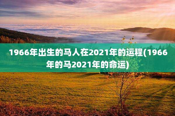 1966年出生的马人在2021年的运程(1966年的马2021年的命运)