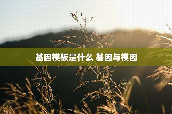 基因模板是什么 基因与模因