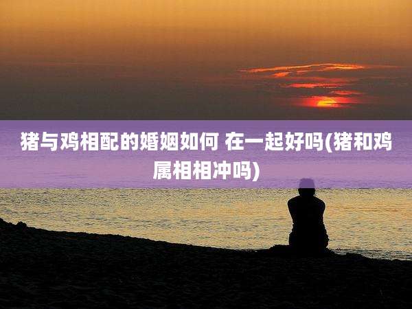猪与鸡相配的婚姻如何 在一起好吗(猪和鸡属相相冲吗)