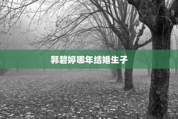 郭碧婷哪年结婚生子