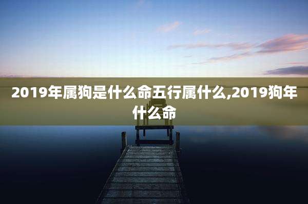 2019年属狗是什么命五行属什么,2019狗年什么命