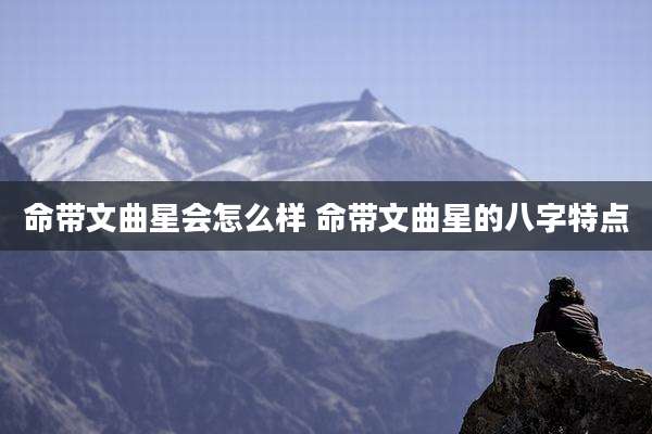 命带文曲星会怎么样 命带文曲星的八字特点