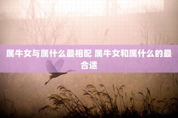 属牛女与属什么最相配 属牛女和属什么的最合适