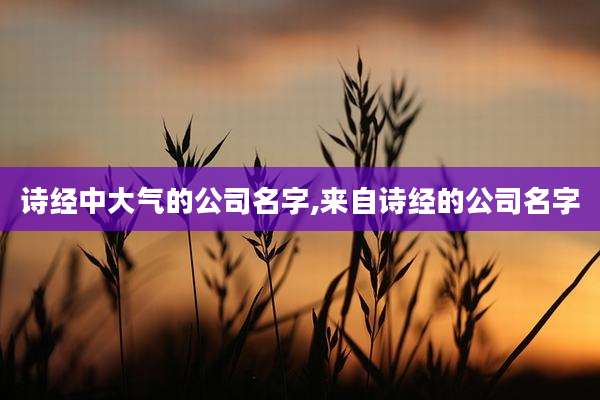 诗经中大气的公司名字,来自诗经的公司名字