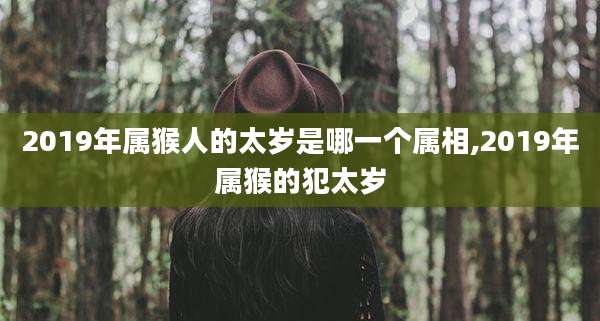 2019年属猴人的太岁是哪一个属相,2019年属猴的犯太岁