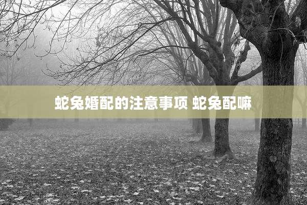 蛇兔婚配的注意事项 蛇兔配嘛