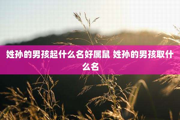 姓孙的男孩起什么名好属鼠 姓孙的男孩取什么名