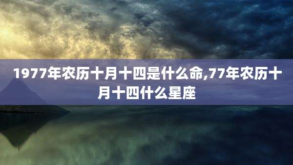 1977年农历十月十四是什么命,77年农历十月十四什么星座