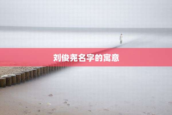 刘俊尧名字的寓意
