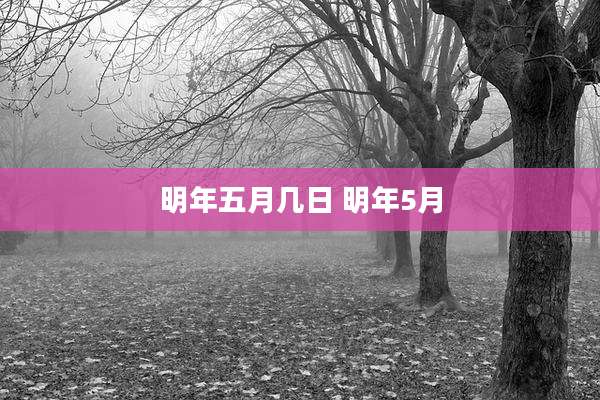 明年五月几日 明年5月
