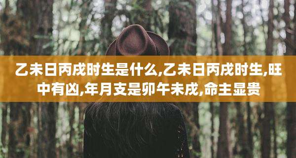 乙未日丙戌时生是什么,乙未日丙戌时生,旺中有凶,年月支是卯午未戌,命主显贵