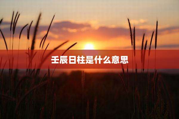 壬辰日柱是什么意思