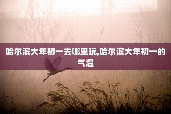 哈尔滨大年初一去哪里玩,哈尔滨大年初一的气温