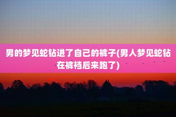 男的梦见蛇钻进了自己的裤子(男人梦见蛇钻在裤裆后来跑了)
