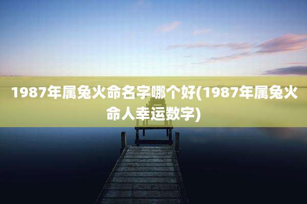 1987年属兔火命名字哪个好(1987年属兔火命人幸运数字)