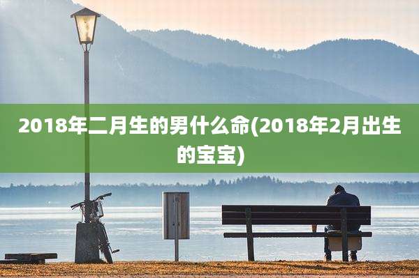 2018年二月生的男什么命(2018年2月出生的宝宝)