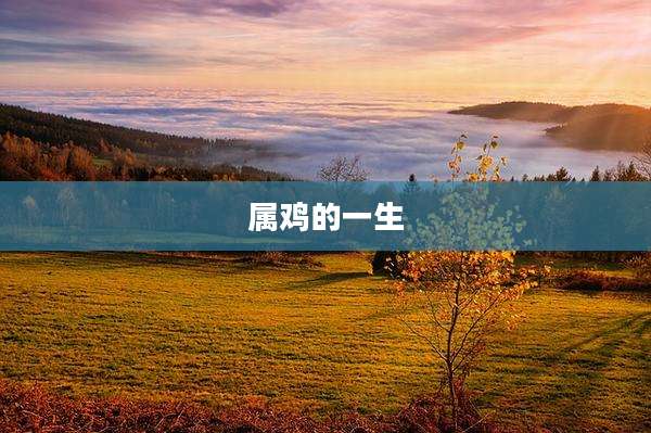 属鸡的一生