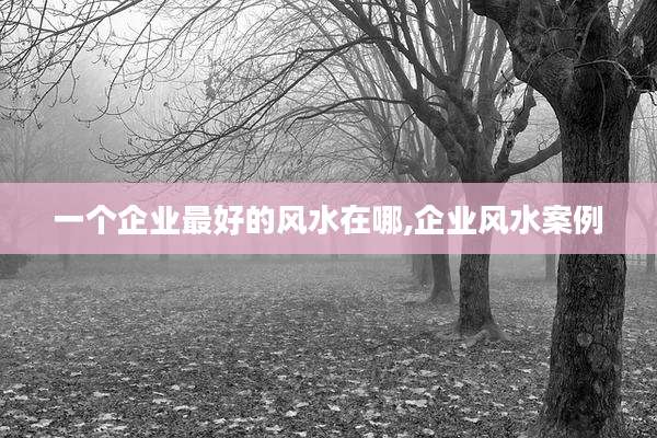 一个企业最好的风水在哪,企业风水案例