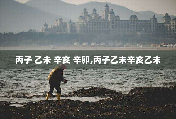 丙子 乙未 辛亥 辛卯,丙子乙未辛亥乙未