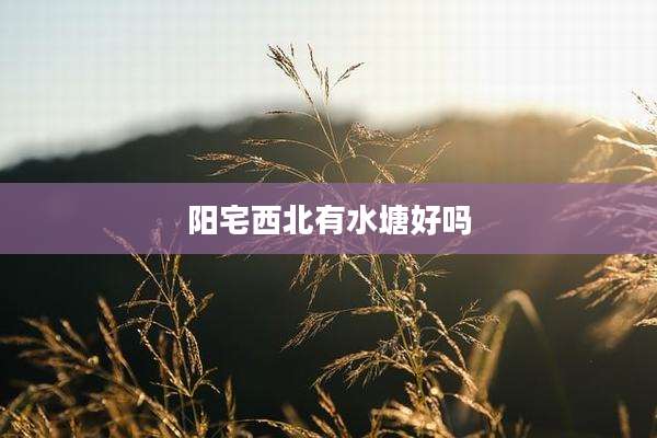 阳宅西北有水塘好吗