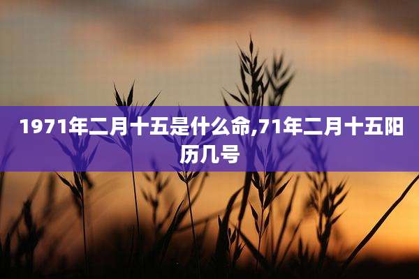 1971年二月十五是什么命,71年二月十五阳历几号