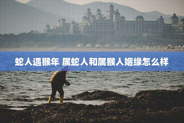 蛇人遇猴年 属蛇人和属猴人姻缘怎么样