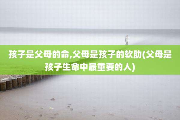 孩子是父母的命,父母是孩子的软肋(父母是孩子生命中最重要的人)
