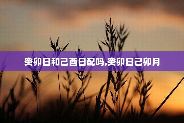 癸卯日和己酉日配吗,癸卯日己卯月