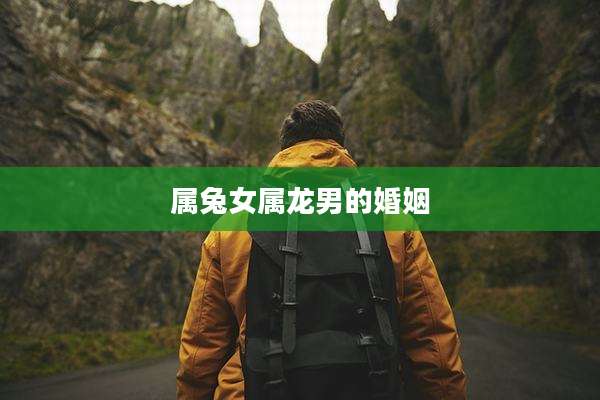 属兔女属龙男的婚姻