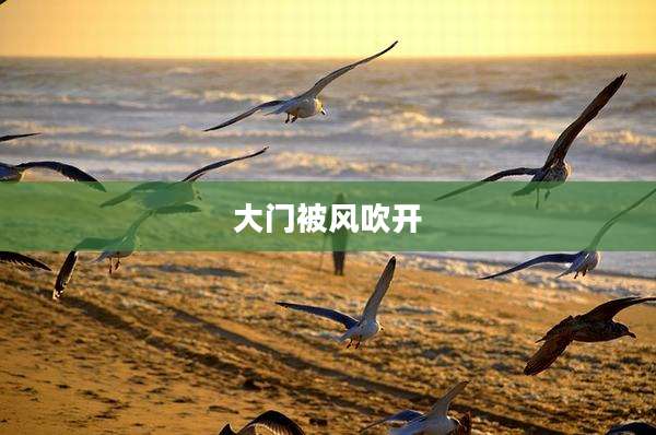 大门被风吹开