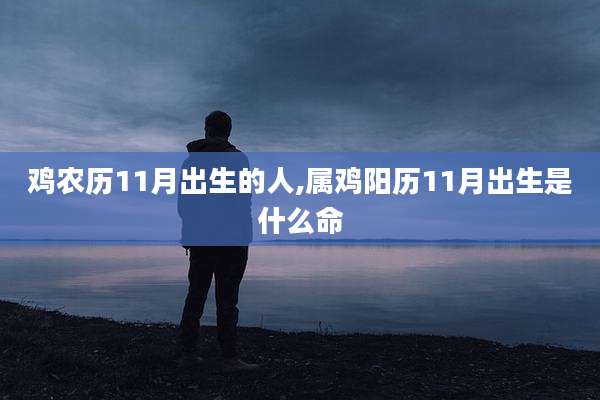 鸡农历11月出生的人,属鸡阳历11月出生是什么命