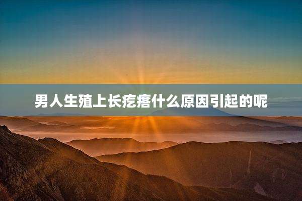 男人生殖上长疙瘩什么原因引起的呢