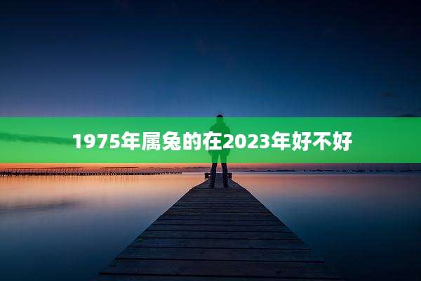 1975年属兔的在2023年好不好