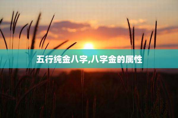 五行纯金八字,八字金的属性