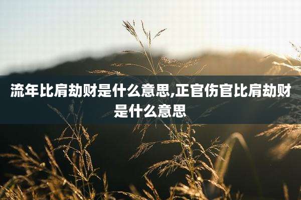流年比肩劫财是什么意思,正官伤官比肩劫财是什么意思