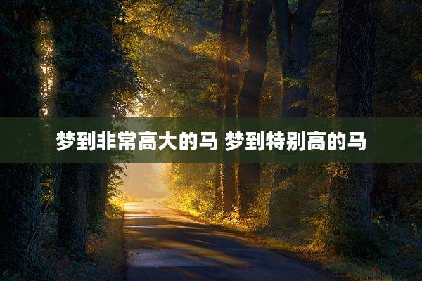 梦到非常高大的马 梦到特别高的马