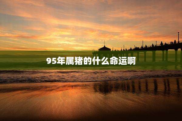 95年属猪的什么命运啊