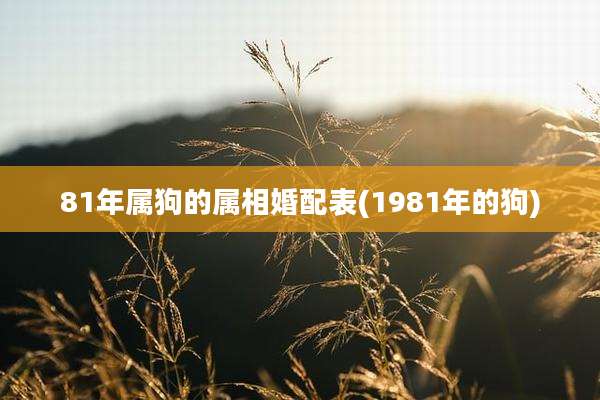 81年属狗的属相婚配表(1981年的狗)