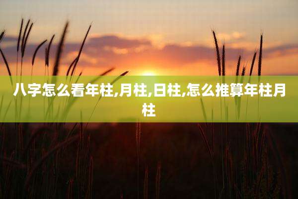 八字怎么看年柱,月柱,日柱,怎么推算年柱月柱